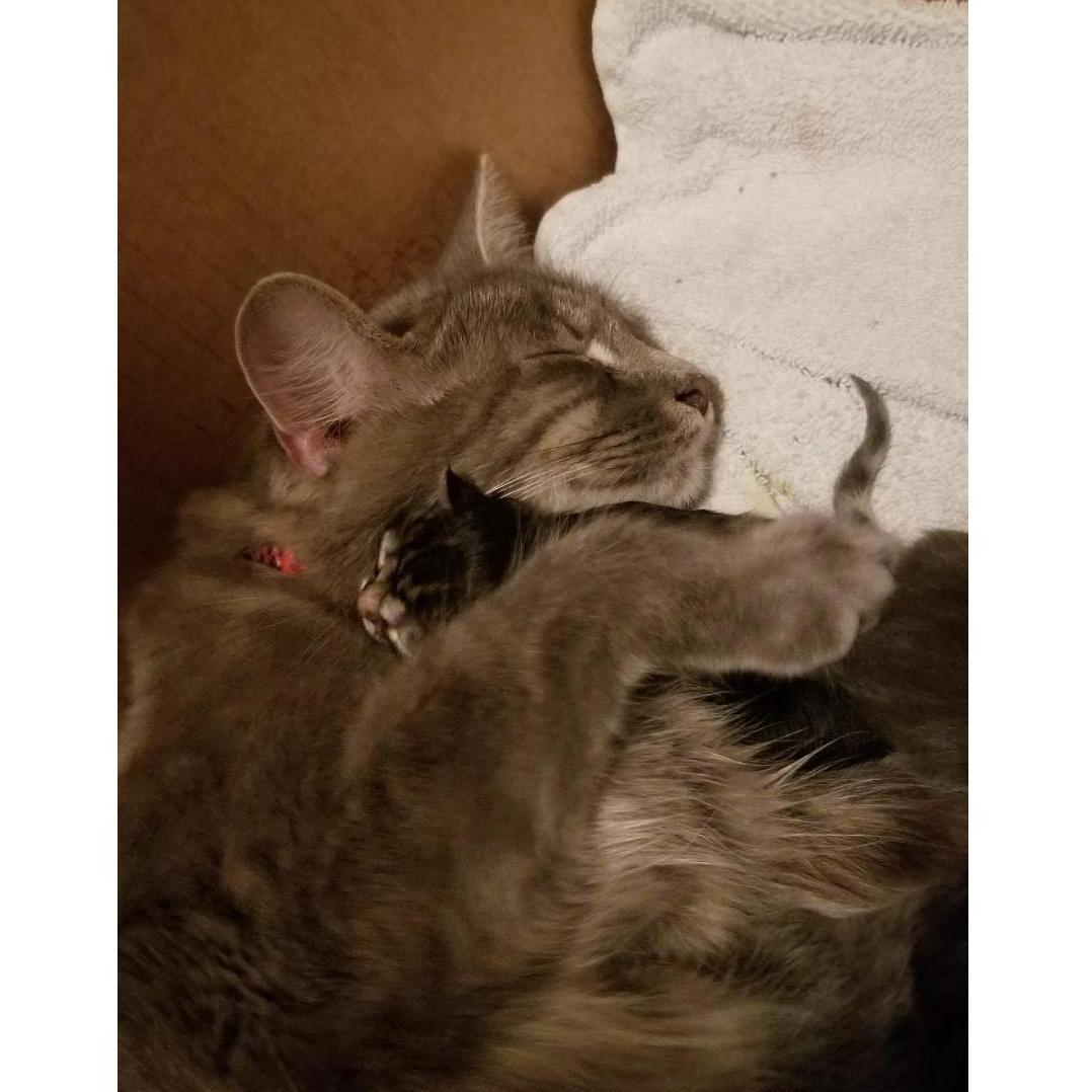 Snuggle time