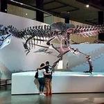 Houston Museum of Natural Science