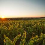 Old Mission Peninsula Wine Trail