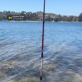 Miramar Reservoir