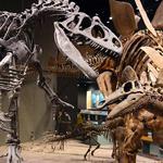 Denver Museum of Nature & Science