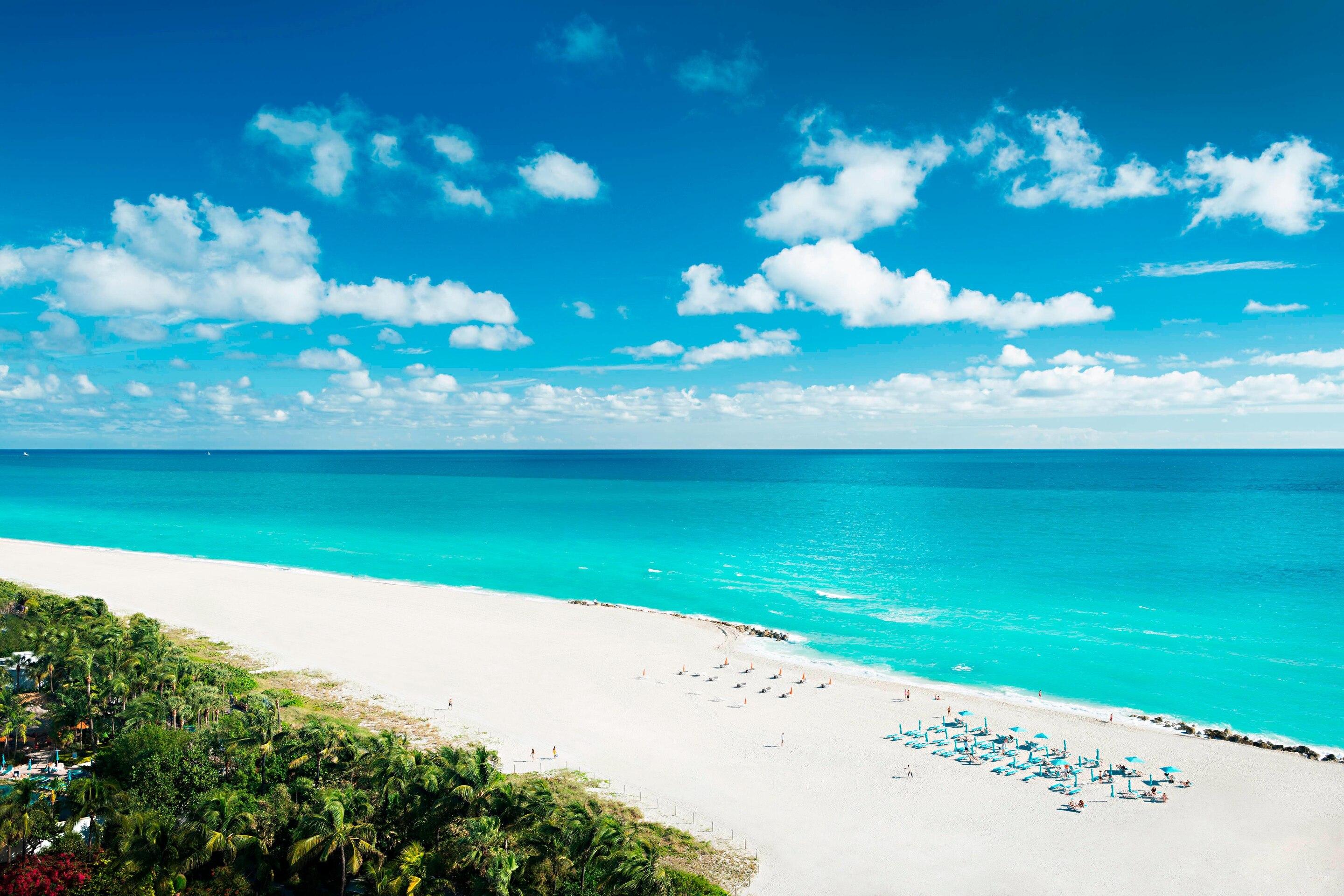 The Wedding Website of Andrea Alvarez and Andrew Sherman