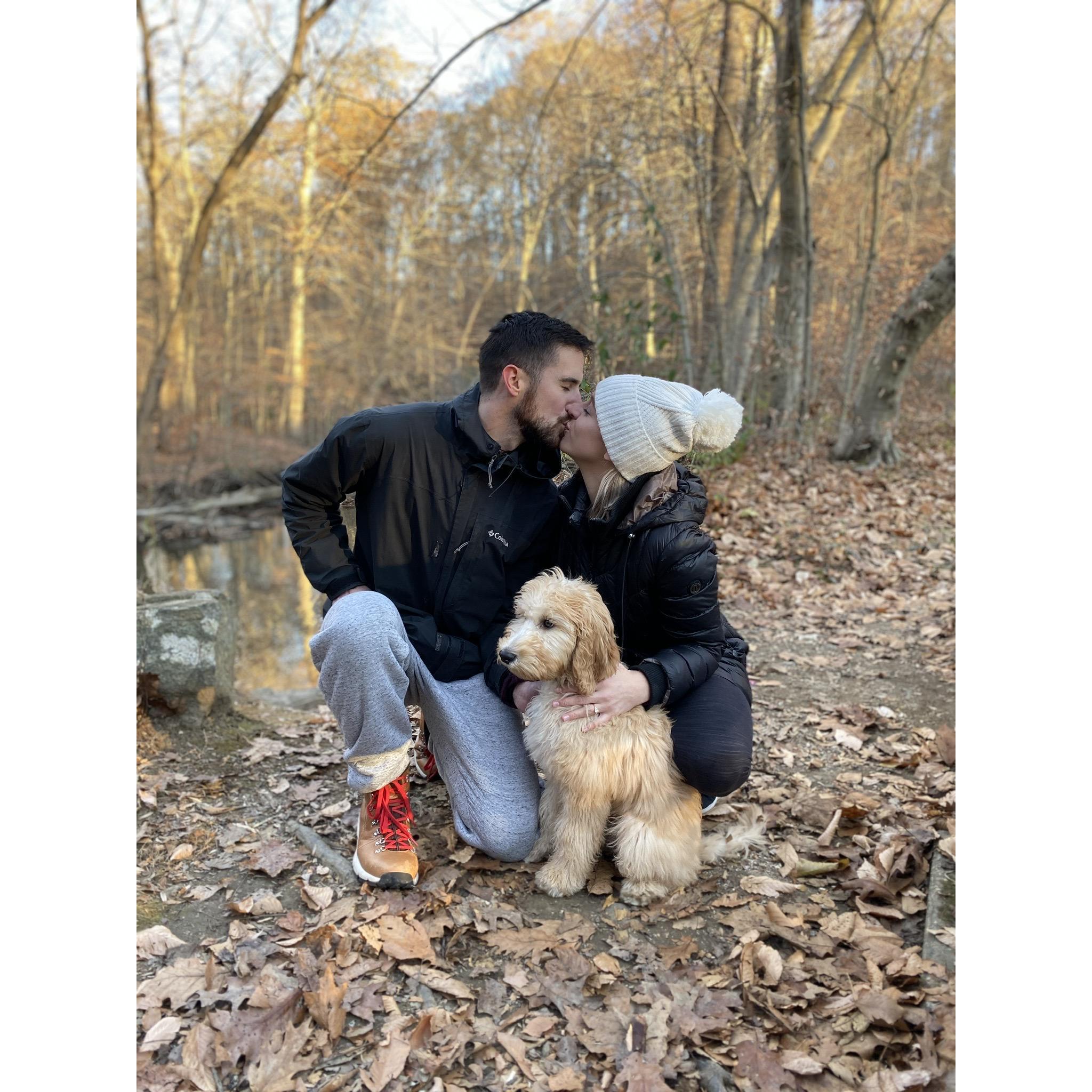 11.16.19 | Ridley Creek State Park