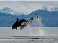 Top Alaskan Attractions