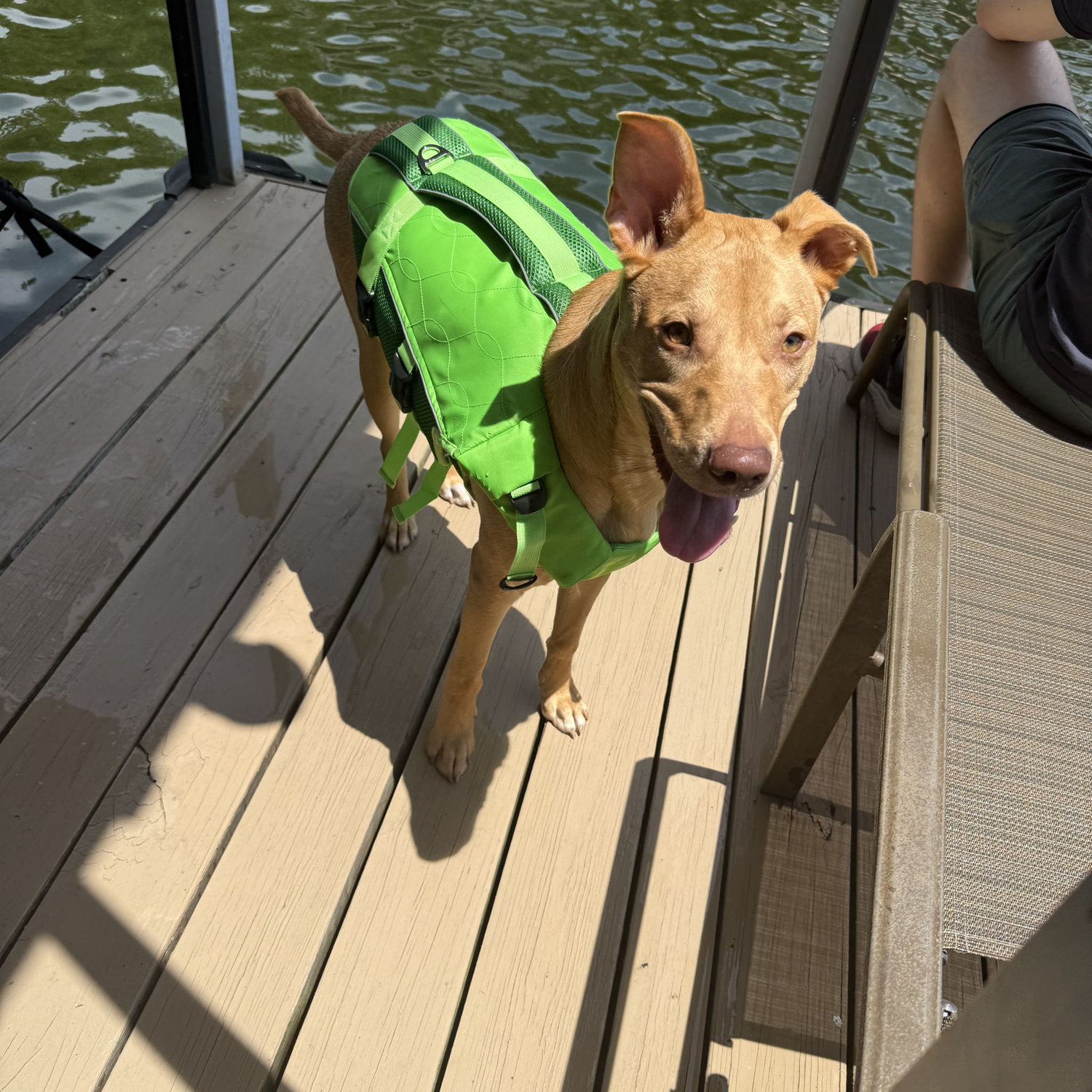 Wheeler is water-safety ready! July 2025