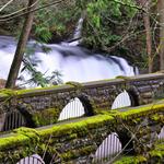 Whatcom Falls Park