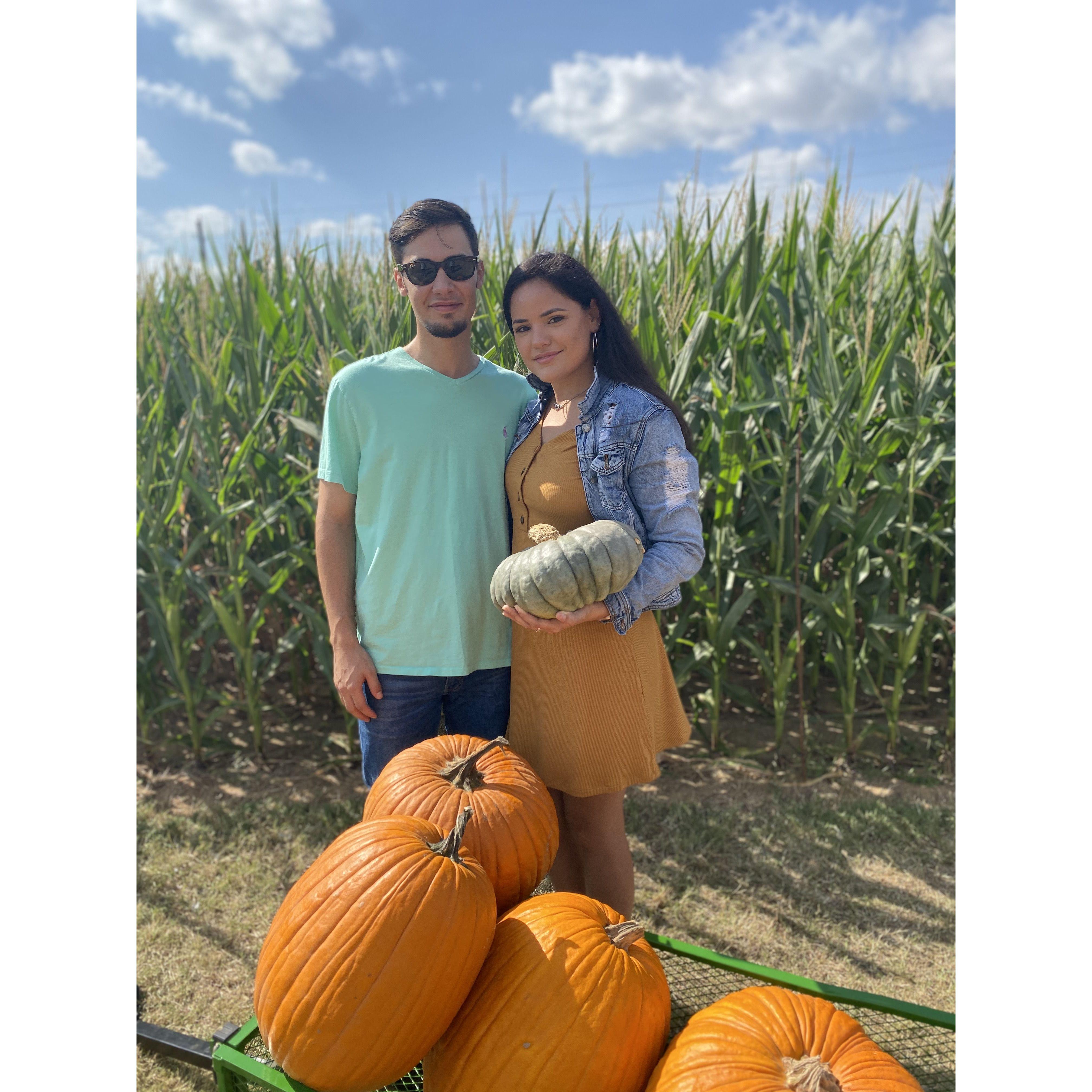 And yet another pumpkin patch! 10/19/2020
