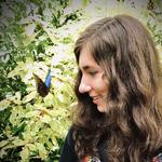 Butterfly Rainforest, Florida Museum of Natural History