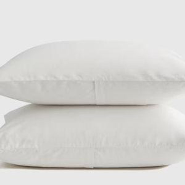 Organic Brushed Cotton Sham Set - White, Standard