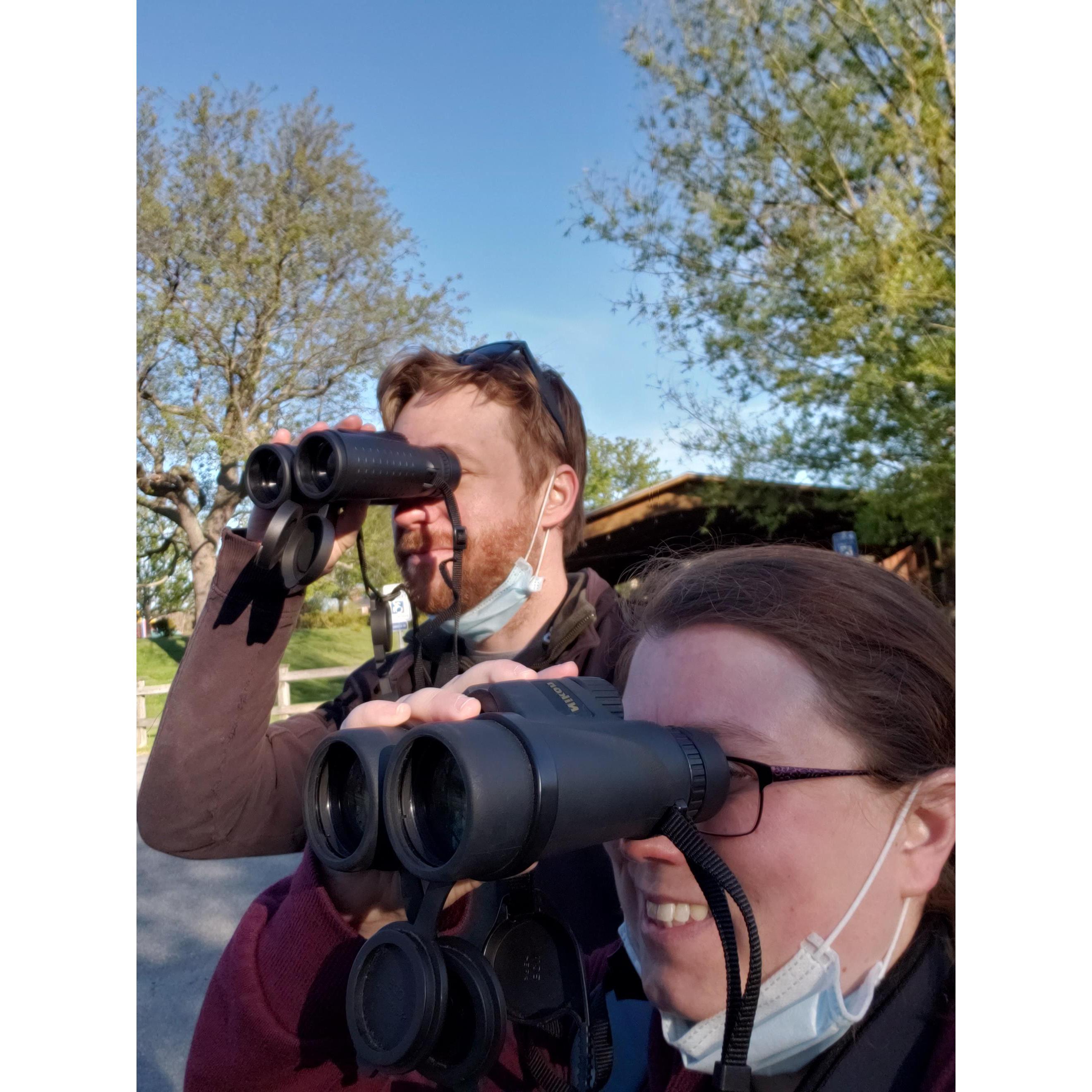 Birds!