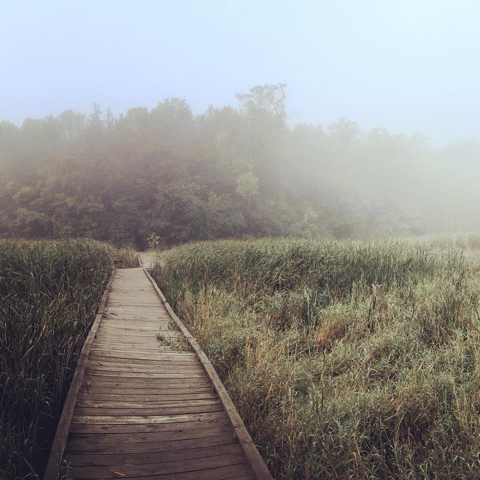 The boardwalk in summer.