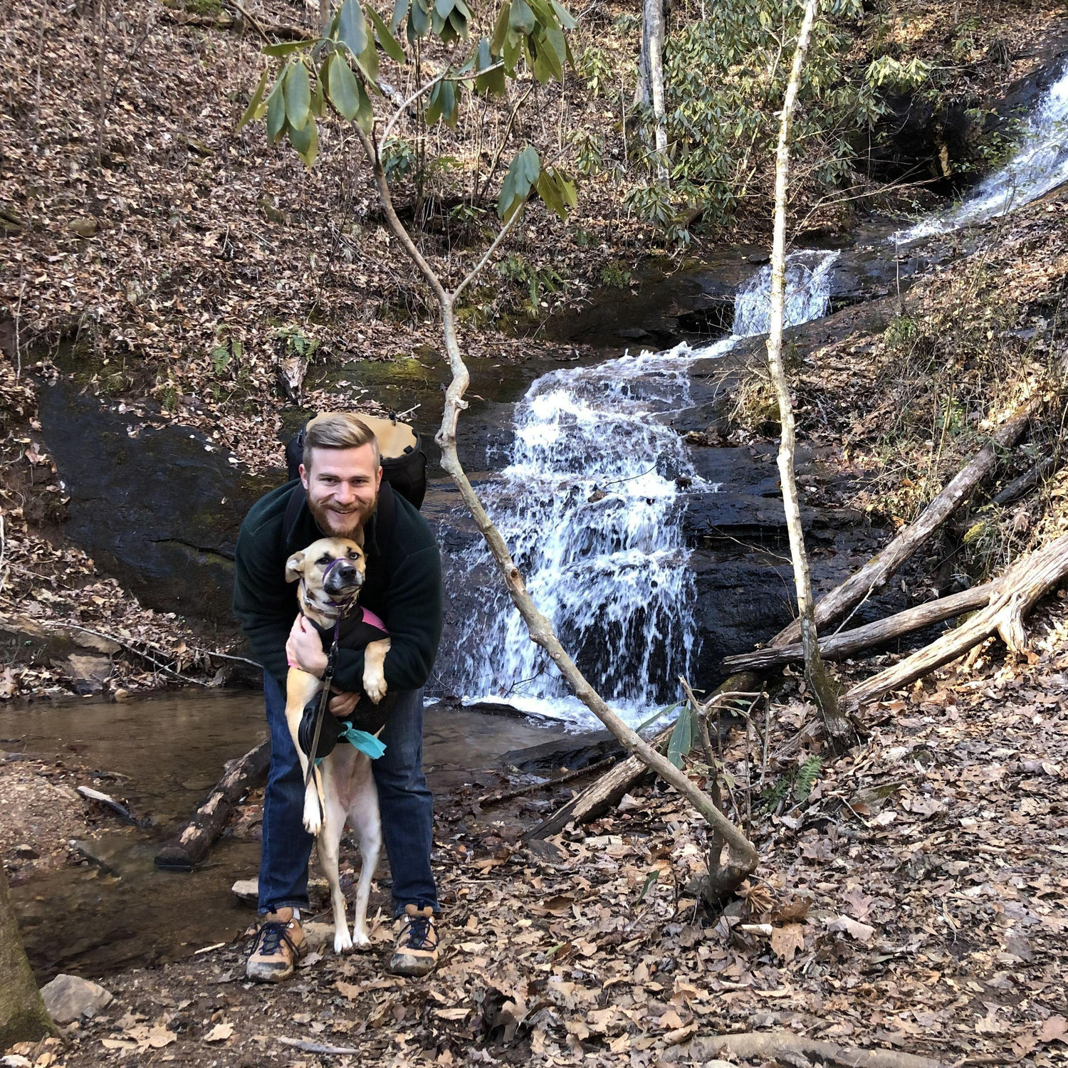 Franklin, NC Jan 2021