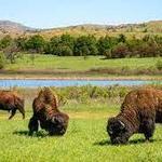 Wichita Mountains Wildlife Refuge