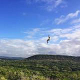 Wimberley Zipline Adventures