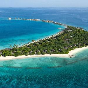 Honeymoon Fund