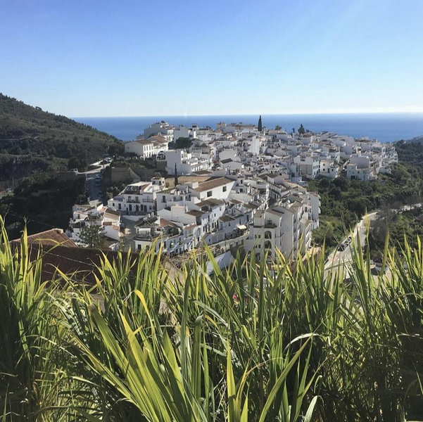 Andalusian Foothills + Wine