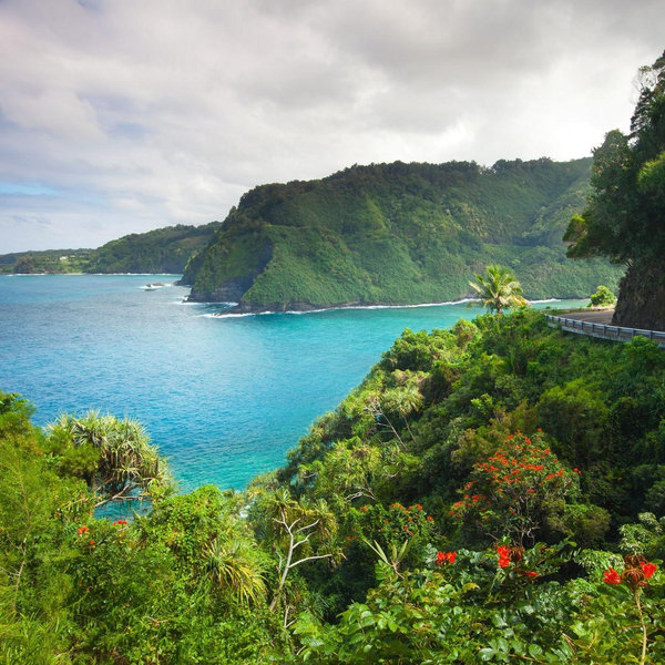 Our Hawaiian Honeymoon Fund