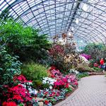 Garfield Park Conservatory
