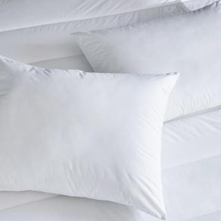Clean Design Home Anti-Allergen Pillow