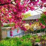 Naperville Riverwalk