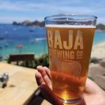 Baja Brewing