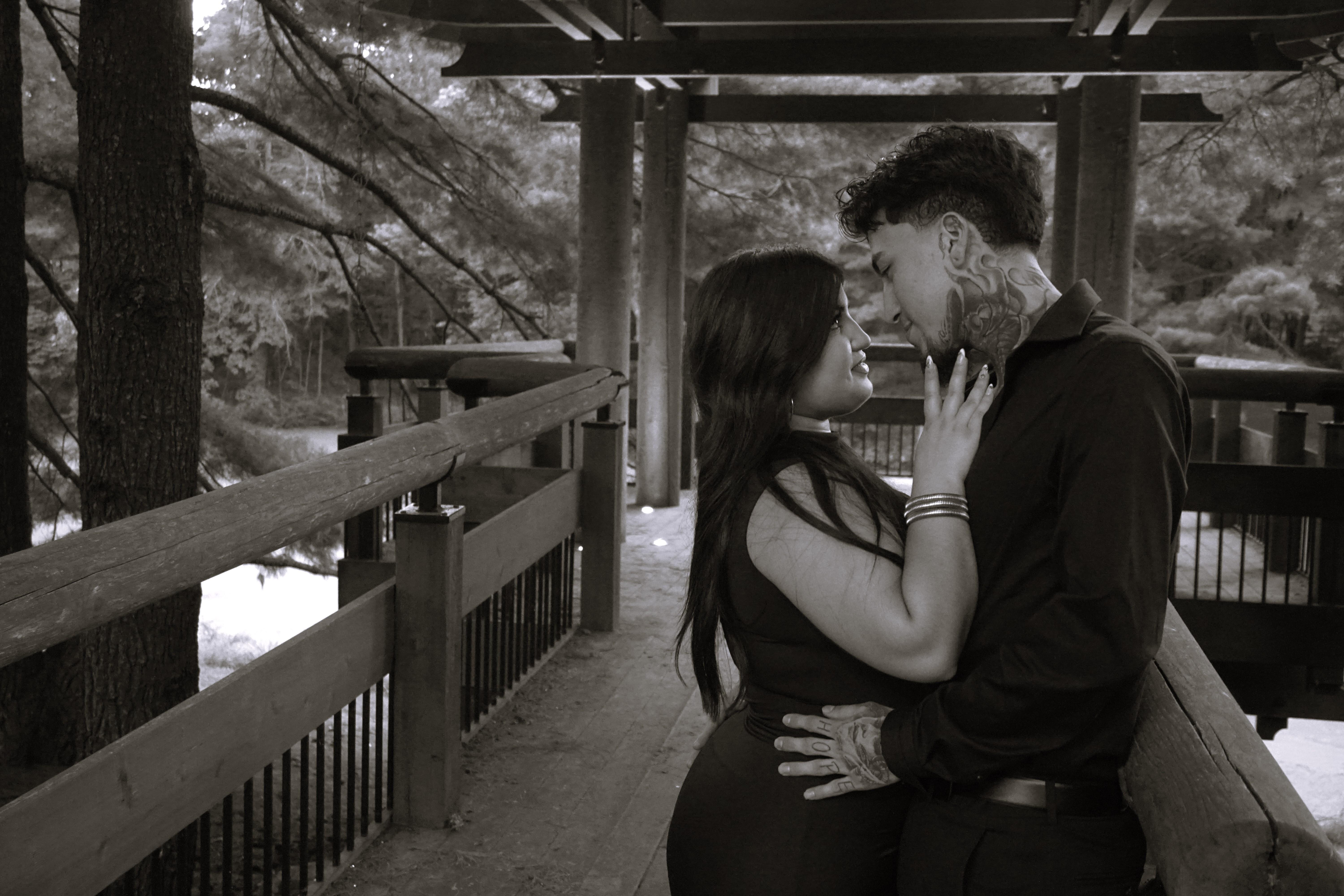 a36d78c5-214d-47fe-adb5-b8af36237181