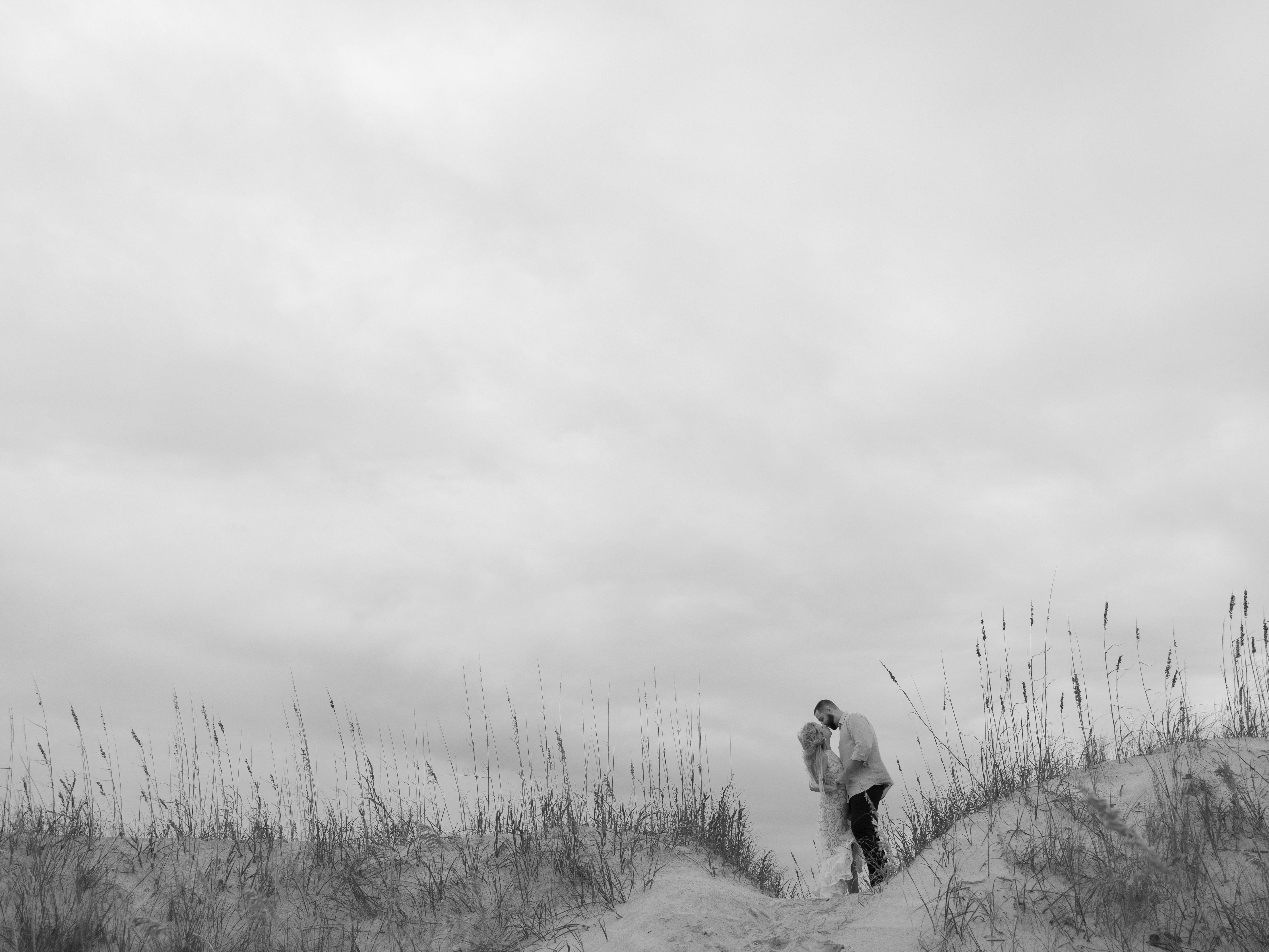 The Wedding Website of Lisa D'Orazio and Michael Davis