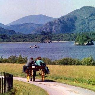 The view leading into Muckross House