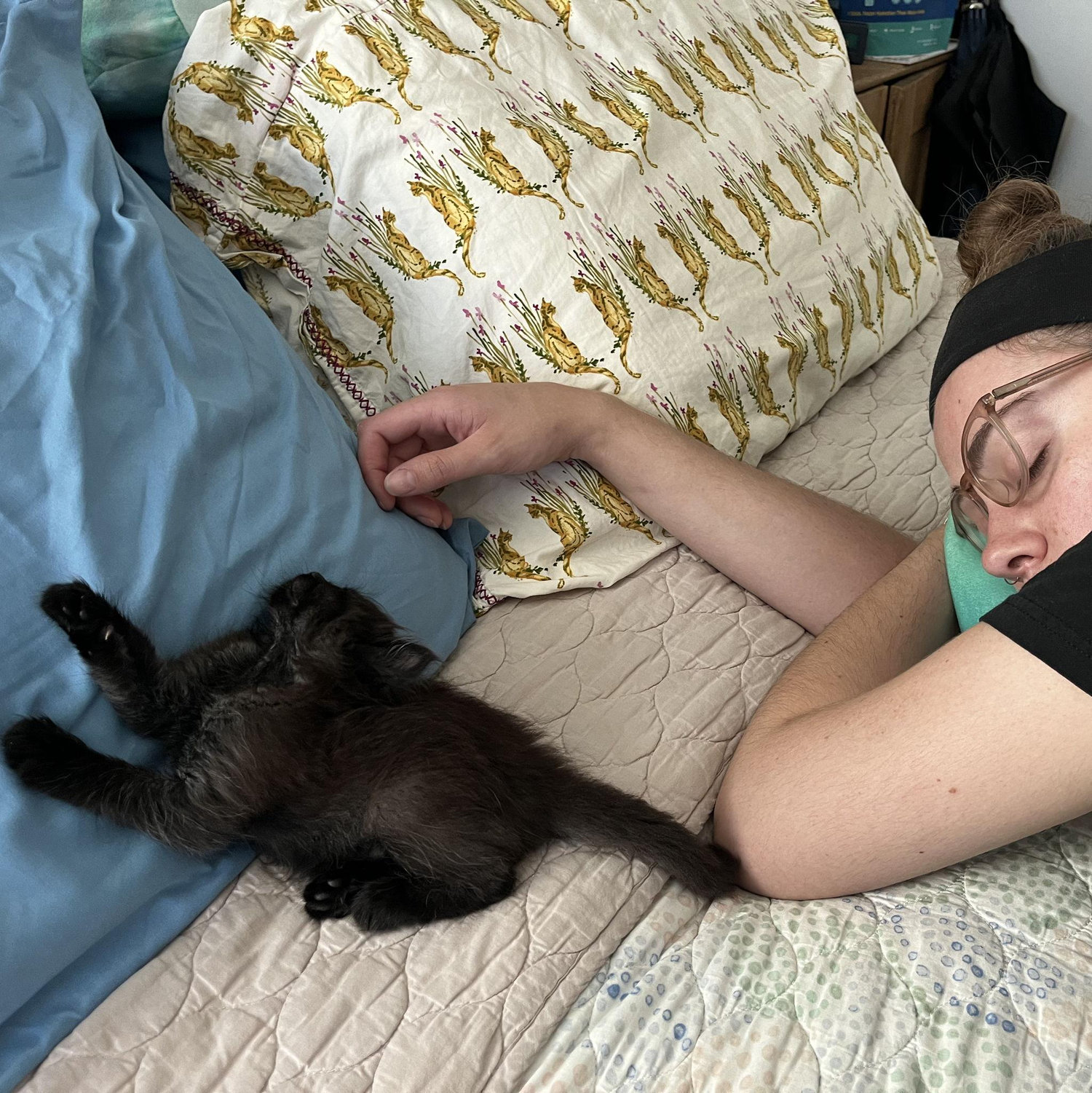 Nap time pt 2!