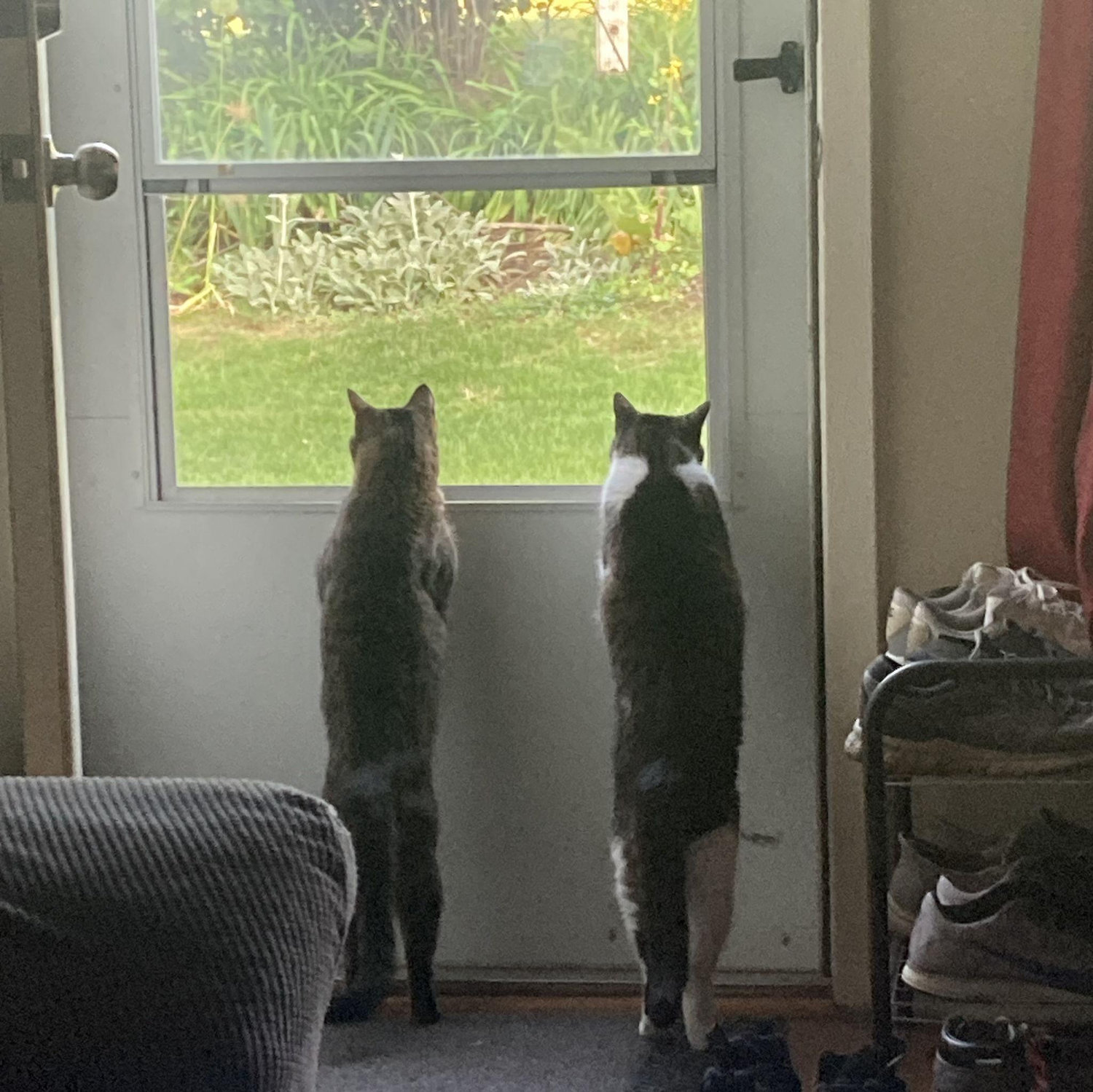 Siblings enjoying the outdoors from a distance!