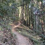 Mt. Madonna County Park