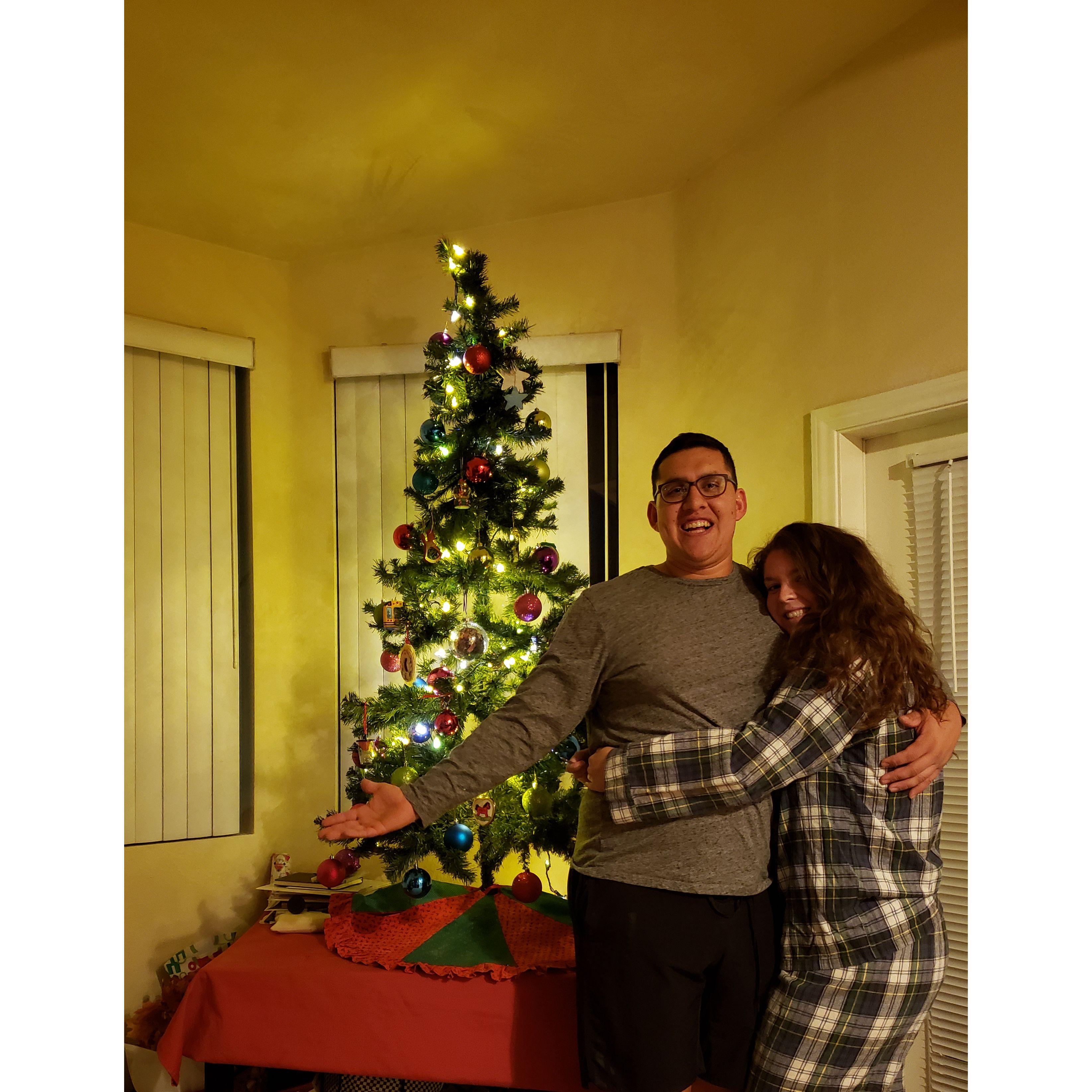 Our first (fake) Christmas tree at Zach's apartment