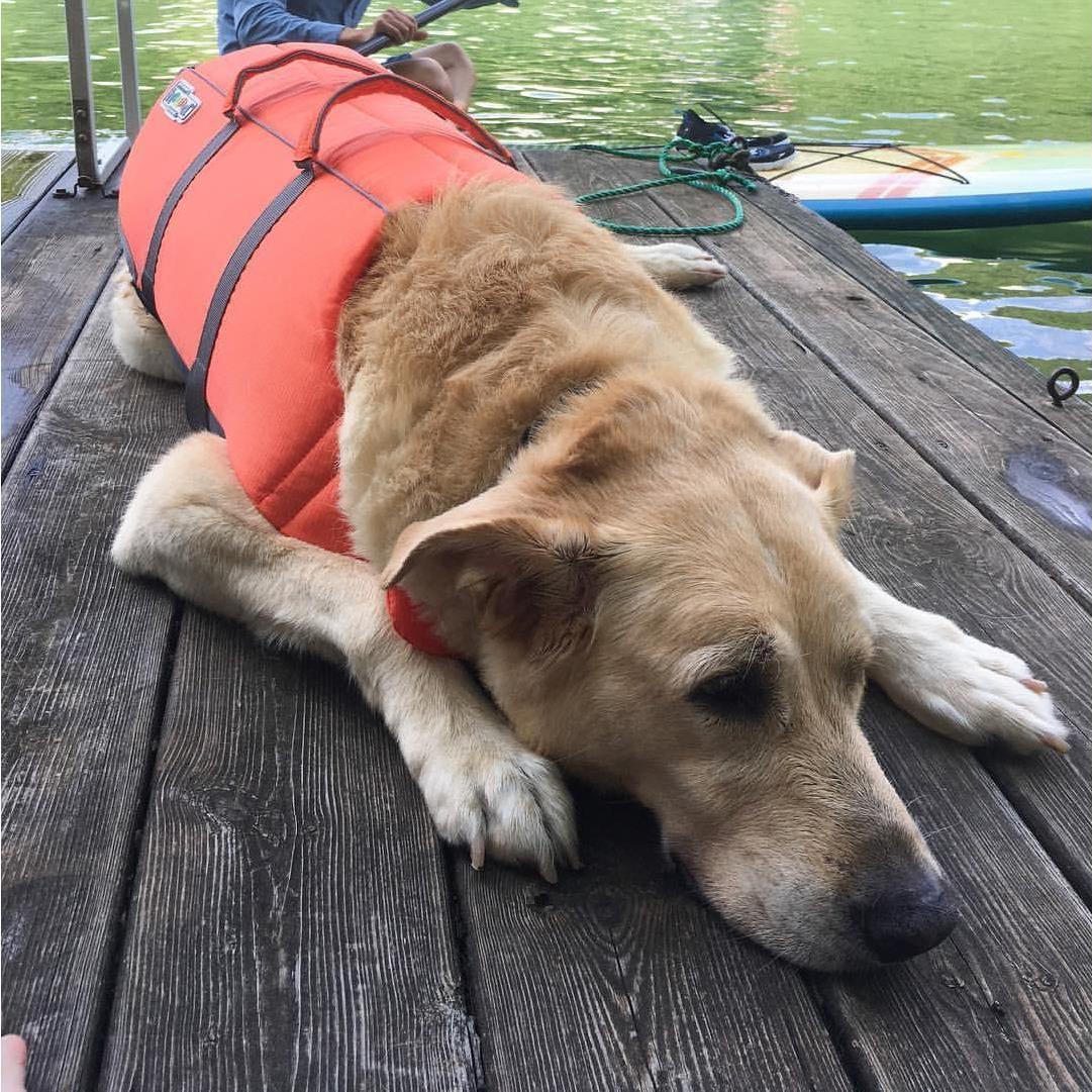 Lily's happy place, the lake.