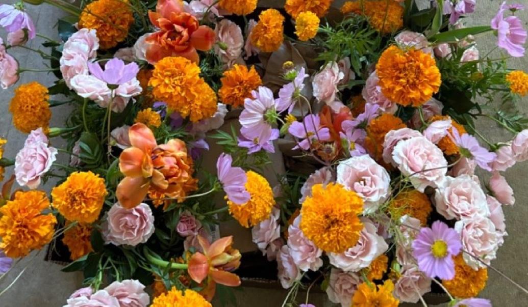 The Wedding Website of Kalen Hodge and Thomas Schaeffer