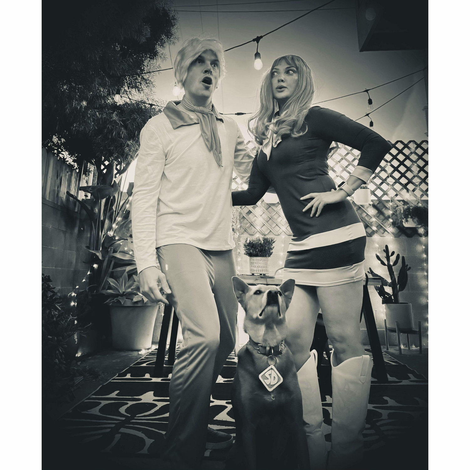Our first halloween as Fred, Daphne and Sadie Doo!  

"And I would have gotten away with it too, if it weren't for you meddling kids"
