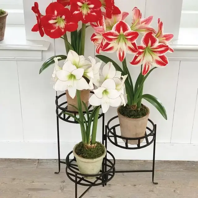 Nesting Triple Pot Stand