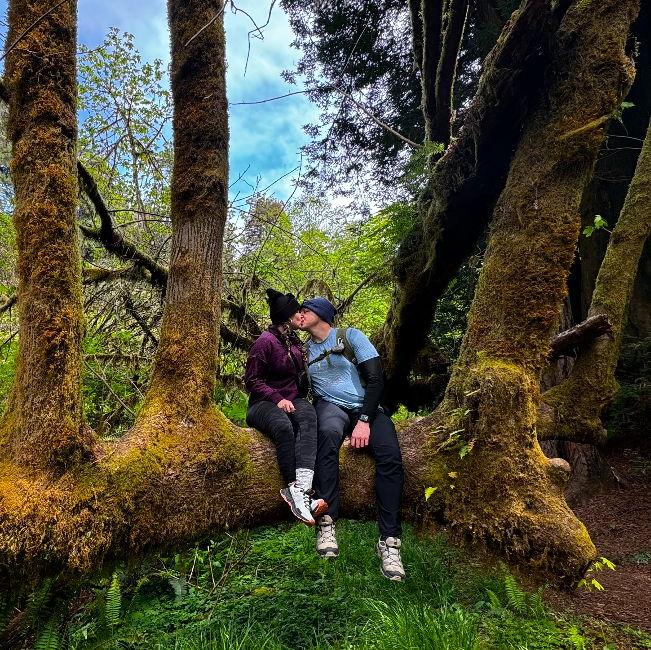 Redwood National Park