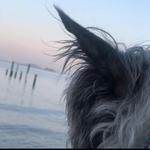 Sausalito
