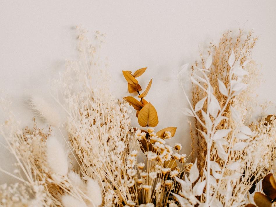 a376c62b-2e20-47b9-8ccc-c24d520281a2