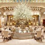 The Palm Court at the Drake Hotel