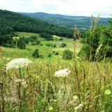Pfeiffer Nature Center