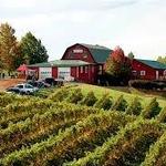 Carter Mountain Orchard