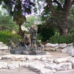The Zoo