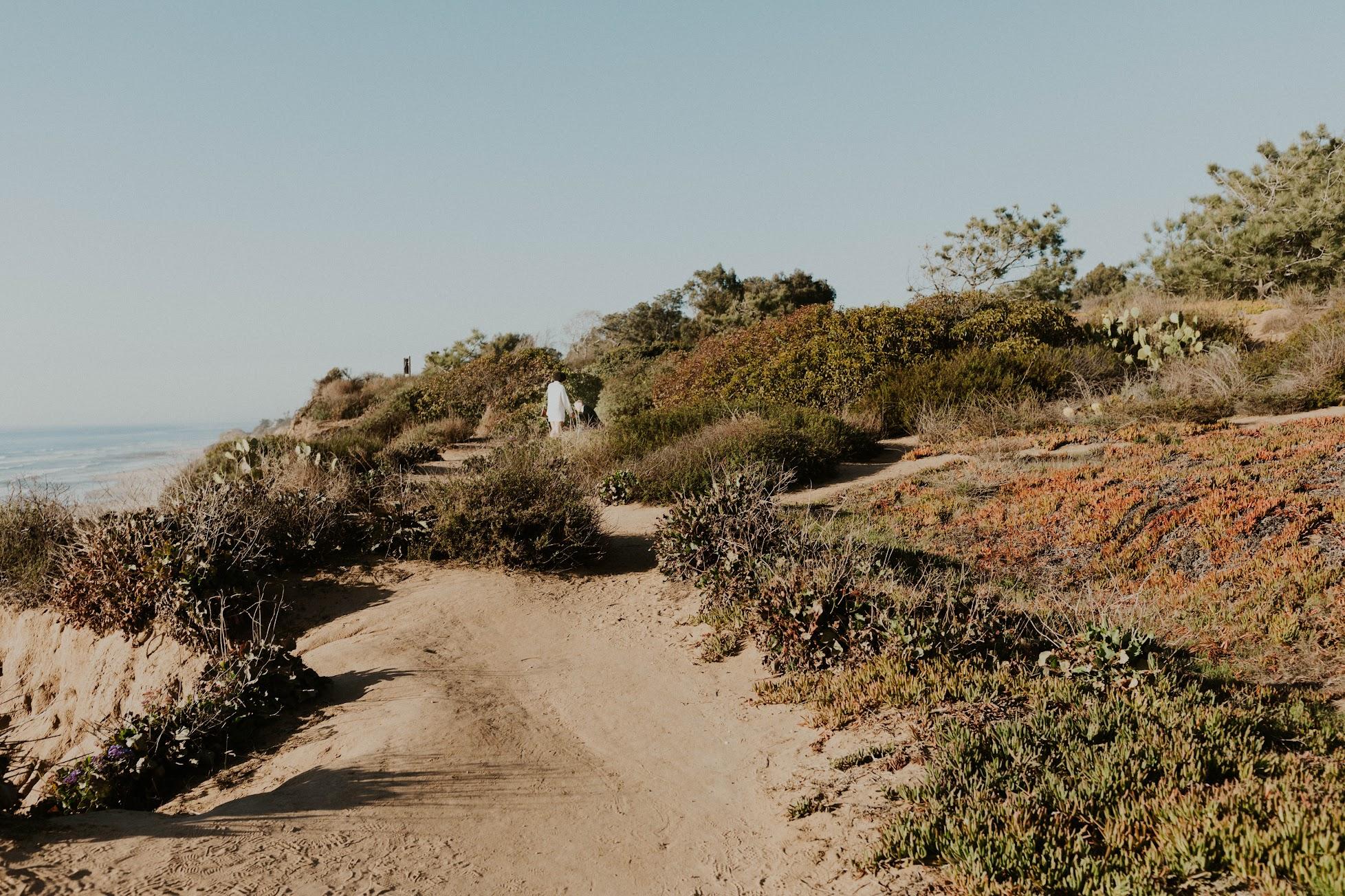 The Wedding Website of Sydney Sodine and Andrew Glander