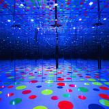 Mattress Factory Contemporary Art Museum