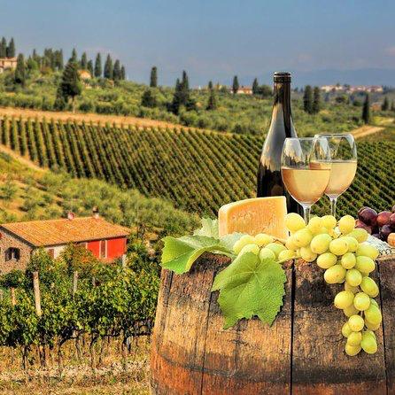 Wine Tasting in Tuscany