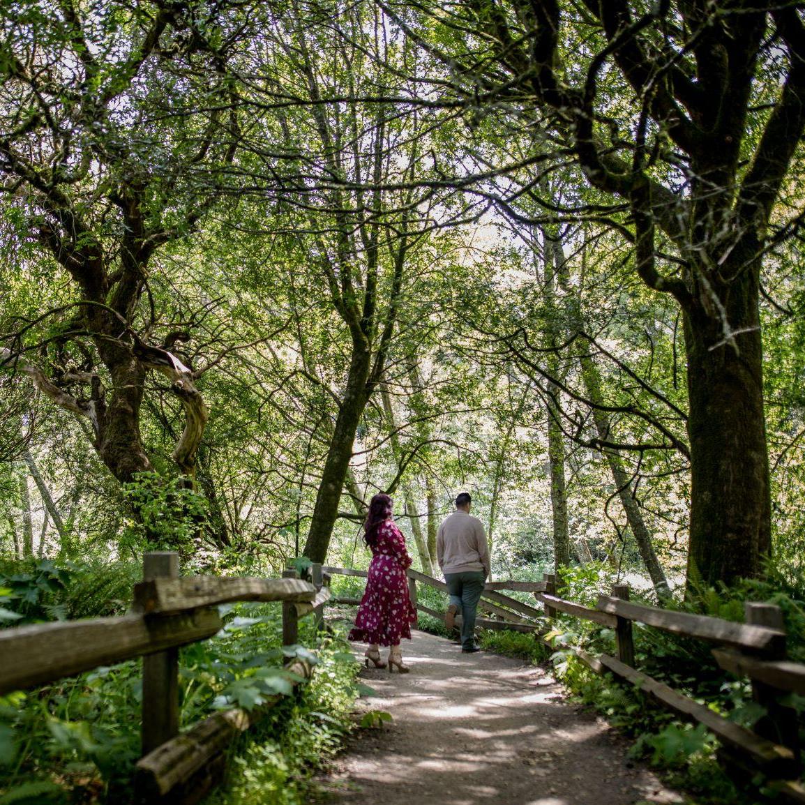 Engagement Photos - Muir Woods