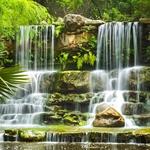 Zilker Botanical Garden