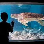 The Maritime Aquarium at Norwalk