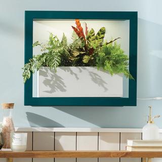 Growframe